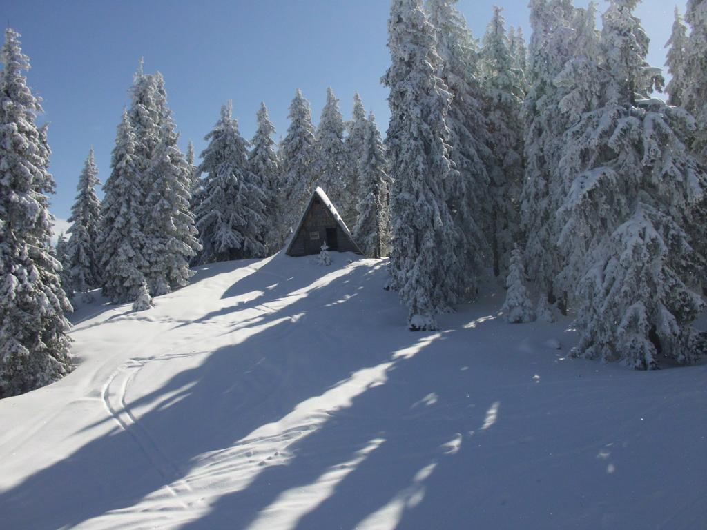 The Castle Complex - Apartment 401 Pamporovo Kamer foto