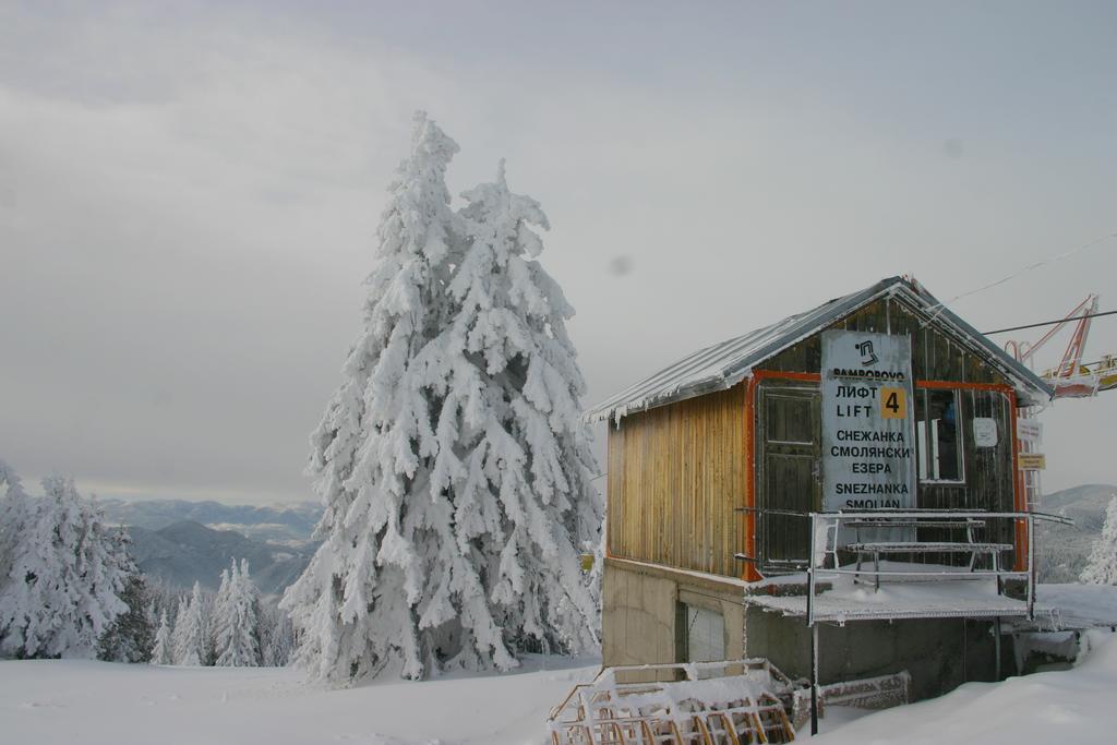 The Castle Complex - Apartment 401 Pamporovo Buitenkant foto