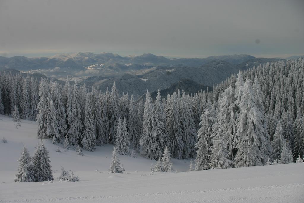 The Castle Complex - Apartment 401 Pamporovo Buitenkant foto