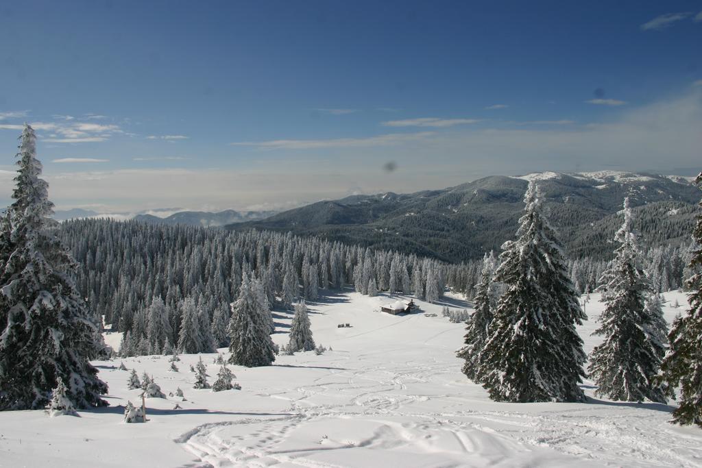 The Castle Complex - Apartment 401 Pamporovo Kamer foto