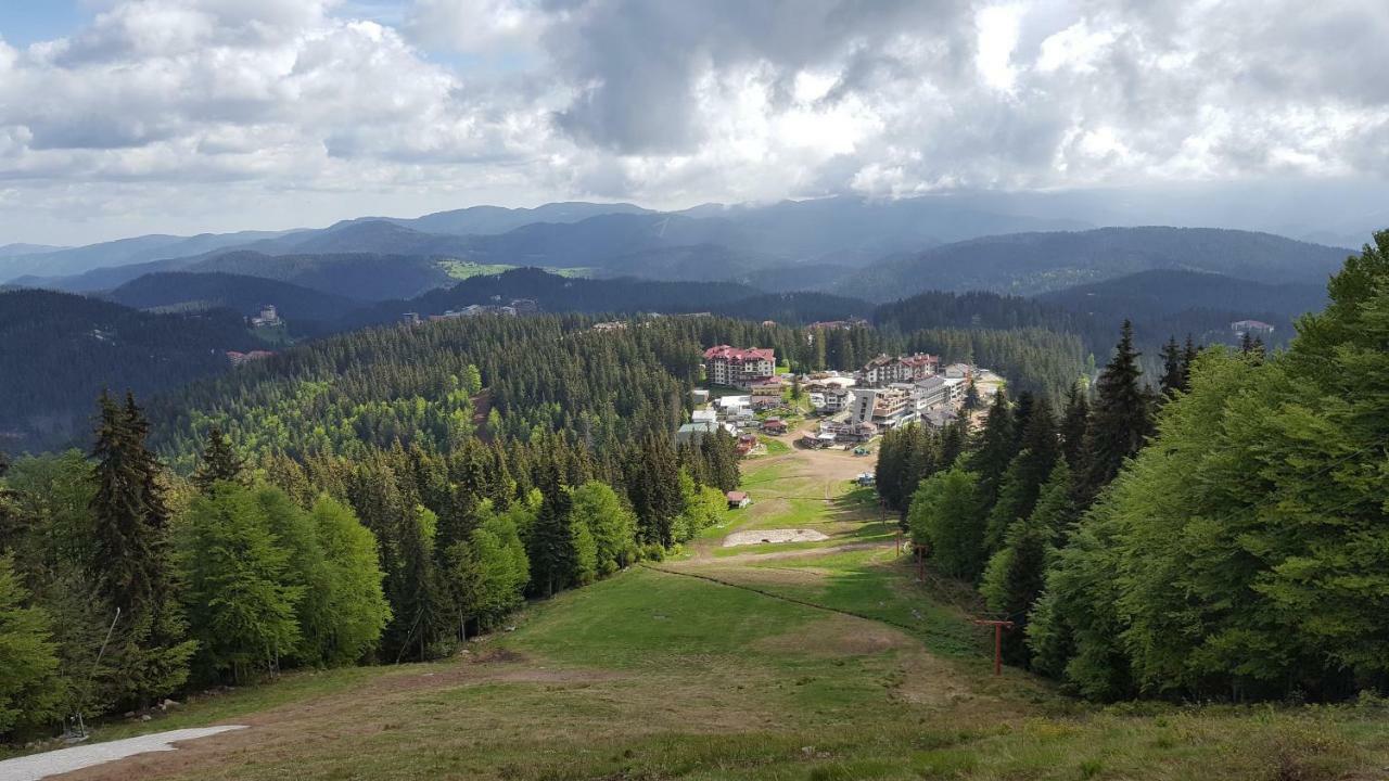 The Castle Complex - Apartment 401 Pamporovo Buitenkant foto