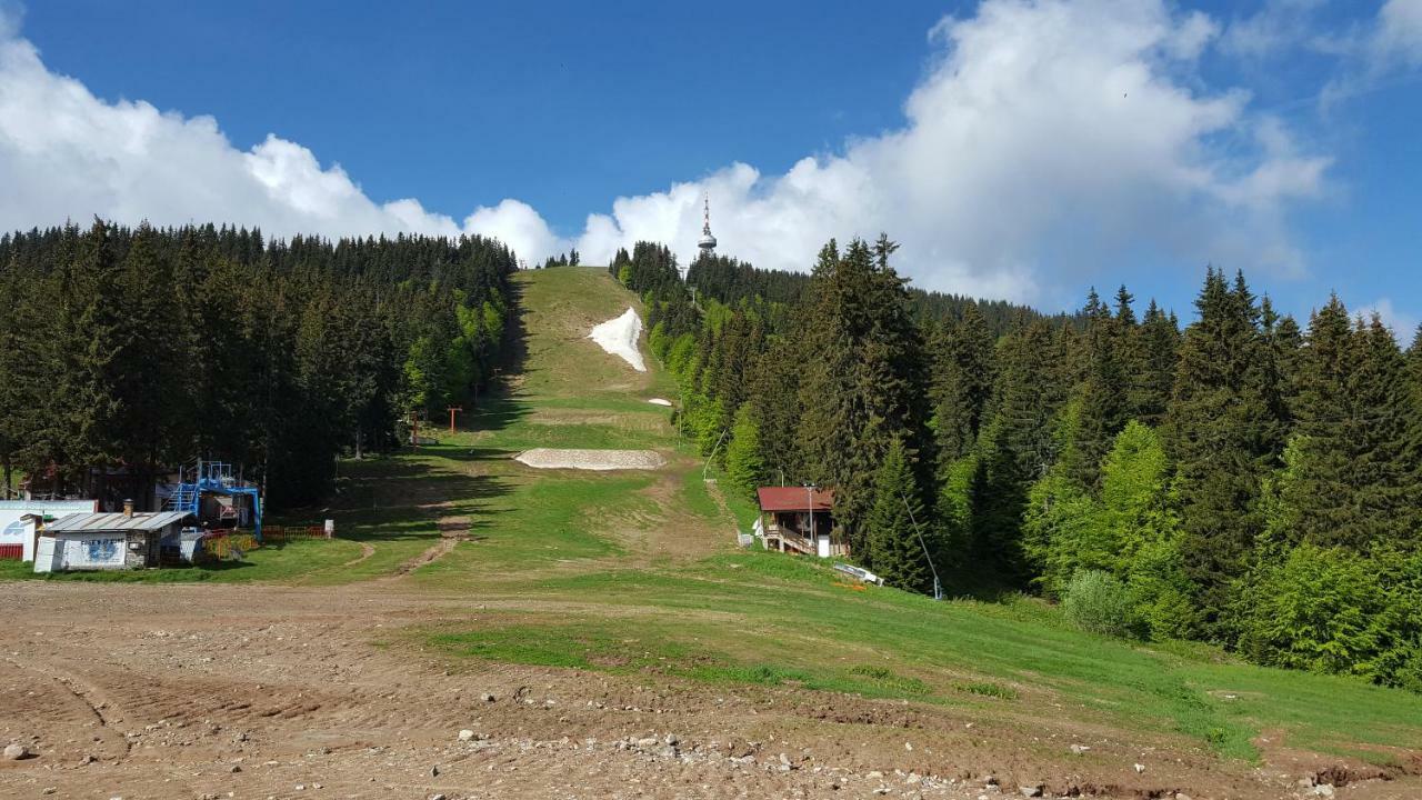 The Castle Complex - Apartment 401 Pamporovo Buitenkant foto